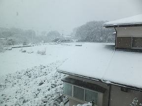 H25.1.14 雪の状況－１.jpg